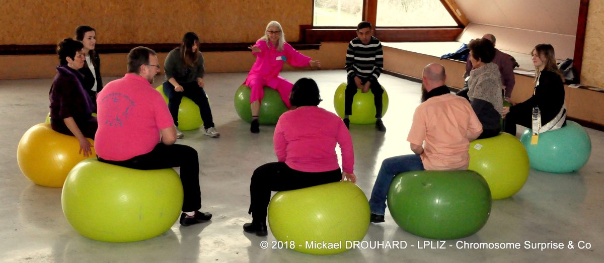 ETC, et cetera, association chromosome surprise & co, bulle d'oxygène, familles, situation de handicap, rencontre, échange, tai chi chuan, besoins, activités sportives et culturelles