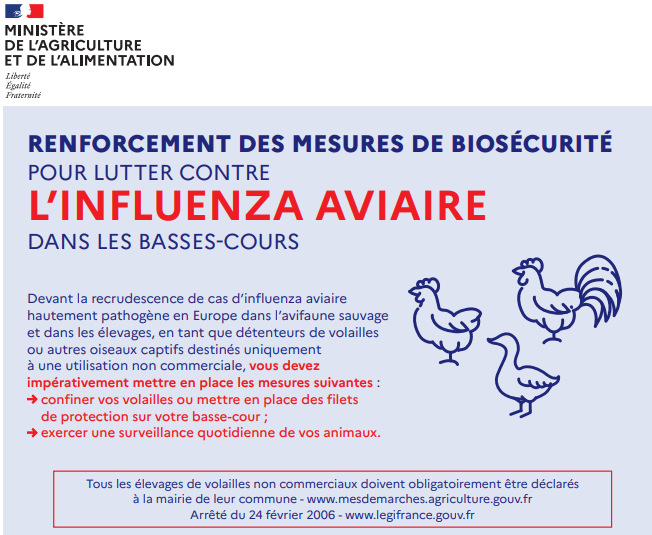 influenza, aviaire, pathogène, volailles