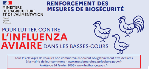 Influenza aviaire : extension des zones de contrôle temporaire et renforcement des mesures