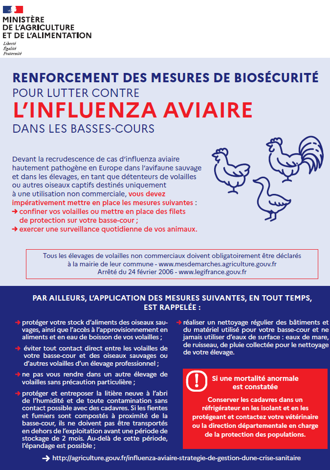 grippe, aviaire, influenza, mesure, renforcement 