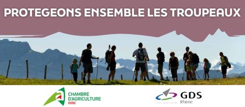 INFO SANITAIRE – Protection des troupeaux contre la DNCB
